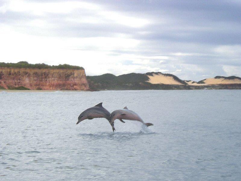 Pousada Da Pipa Praia de Pipa 外观 照片